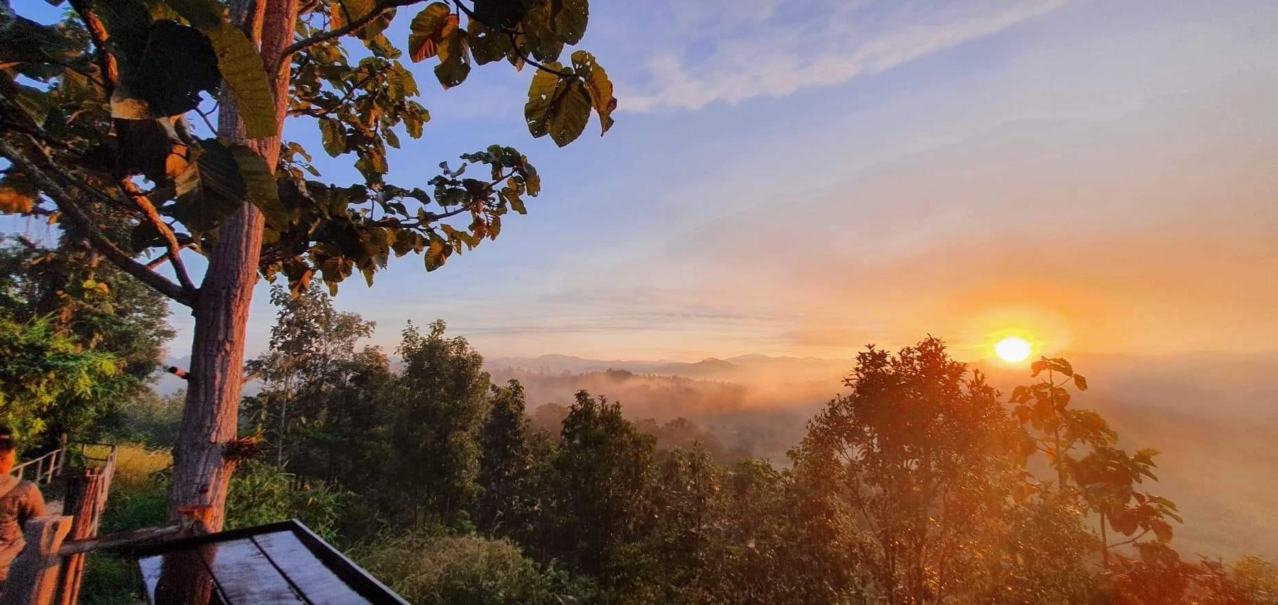Sunrise over lush green forest with mist and a wooden balcony railing in the foreground