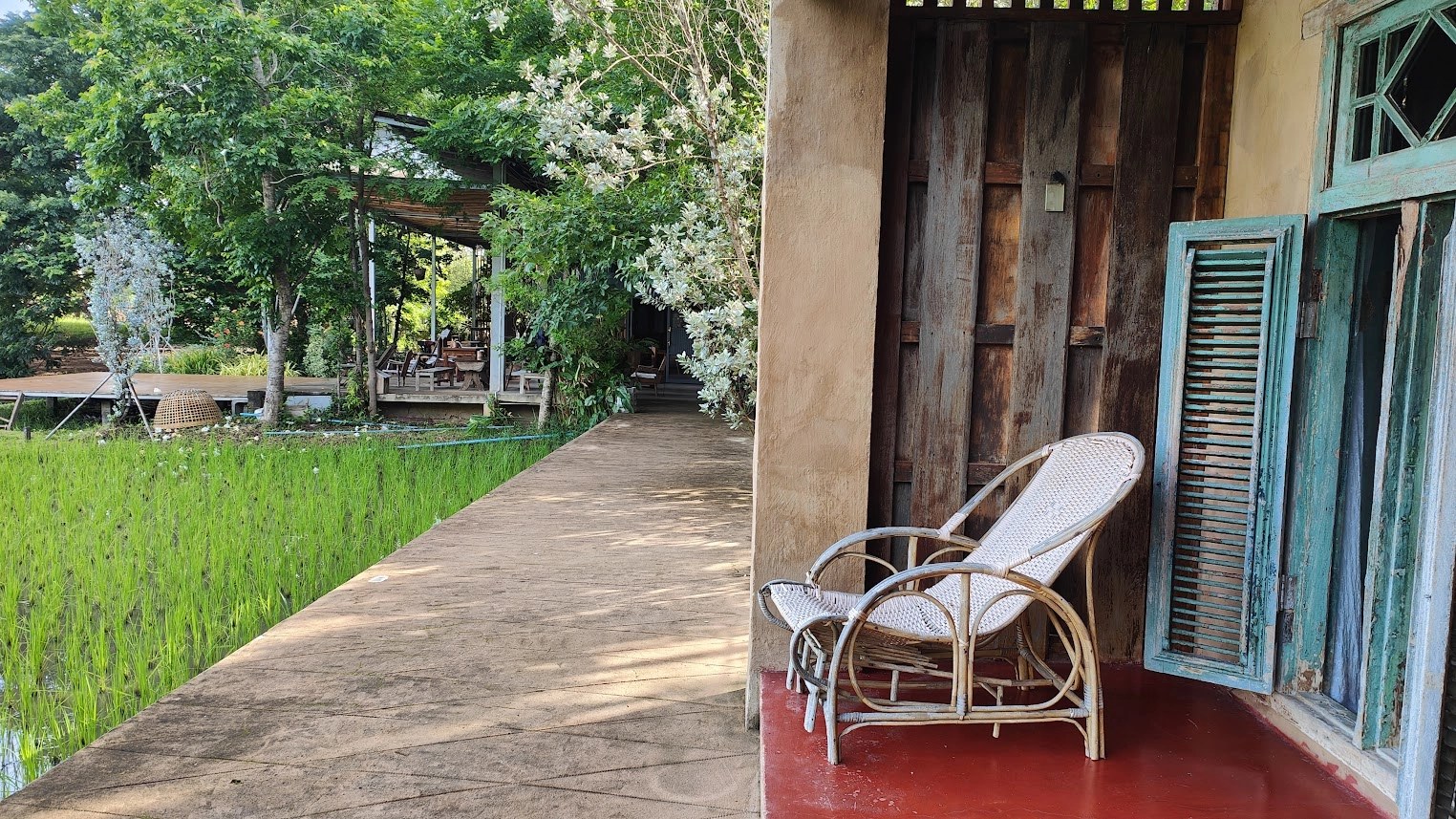 Wooden chair on a porch next to green rice fields and flowering trees in a rural setting
