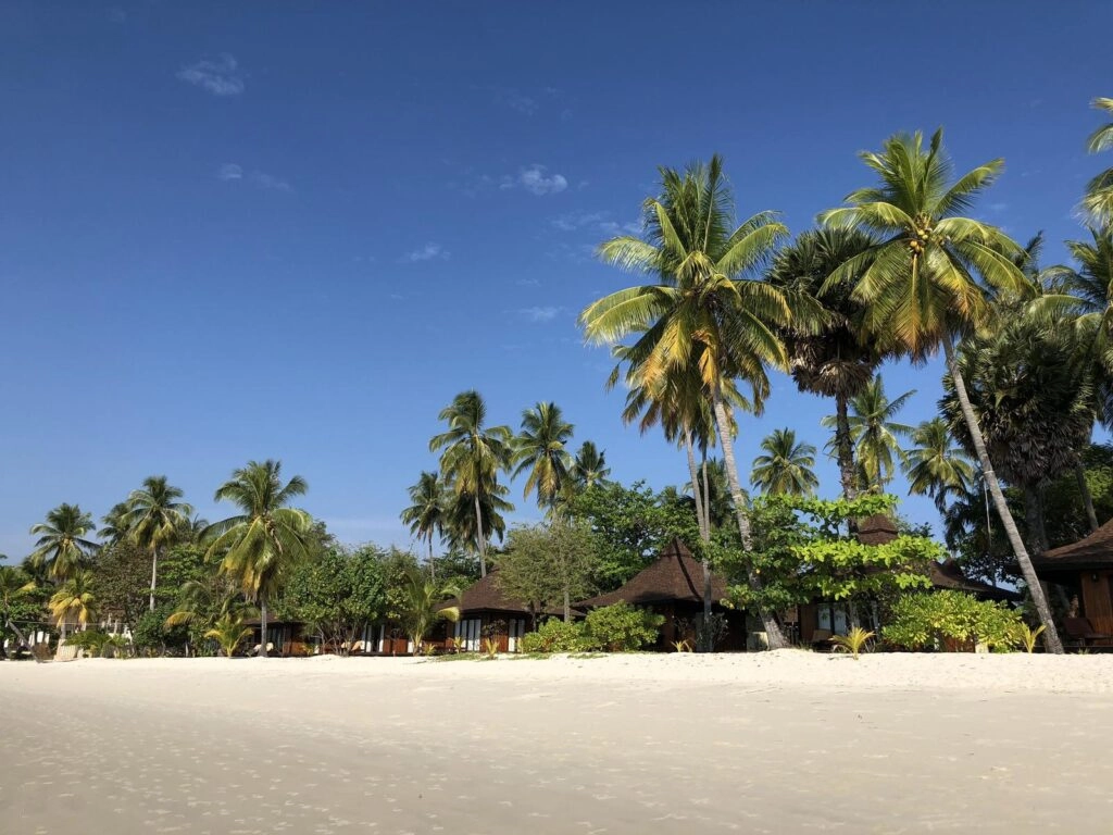 Tropical beach with white sand, palm trees, and clear blue sky on a sunny day.