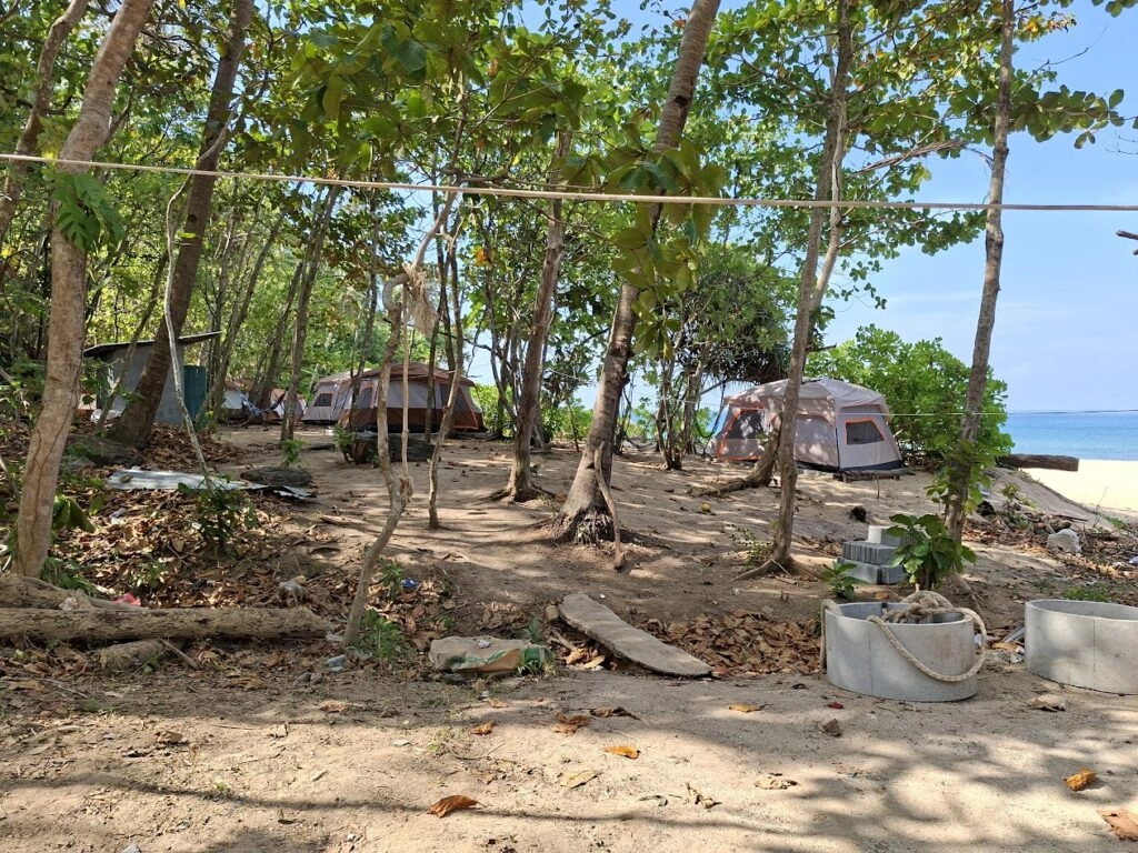 Kampplaatsen en hangmatten tussen bomen aan een rustig zandstrand.